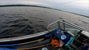 Рыбалка на Ладожском озере, сезон 2025 г. по судаку