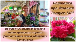 Болталка про Фиалки! Выпуск 148! Воскресный полив и беседа о наших цветущих сортах фиалок!