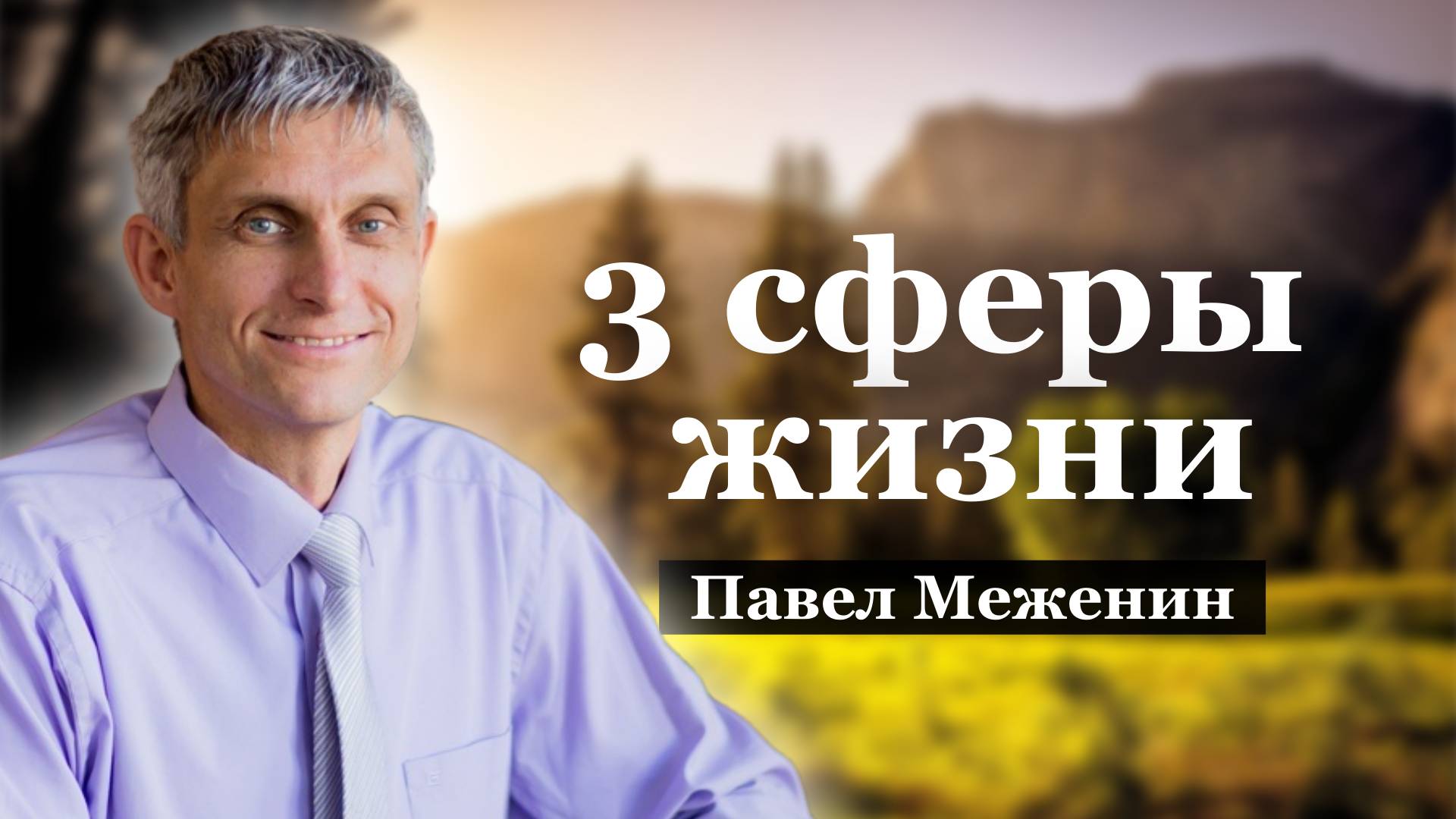 Три сферы жизни.
Павел Меженин