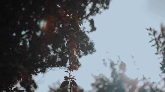 💞 Самая искренняя свадьба — смонтировано с душой смотреть онлайн