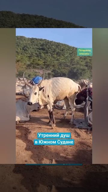 Объявление по Пансионату :" Сантехникам срочно починить кран в мужской душевой! смотреть онлайн