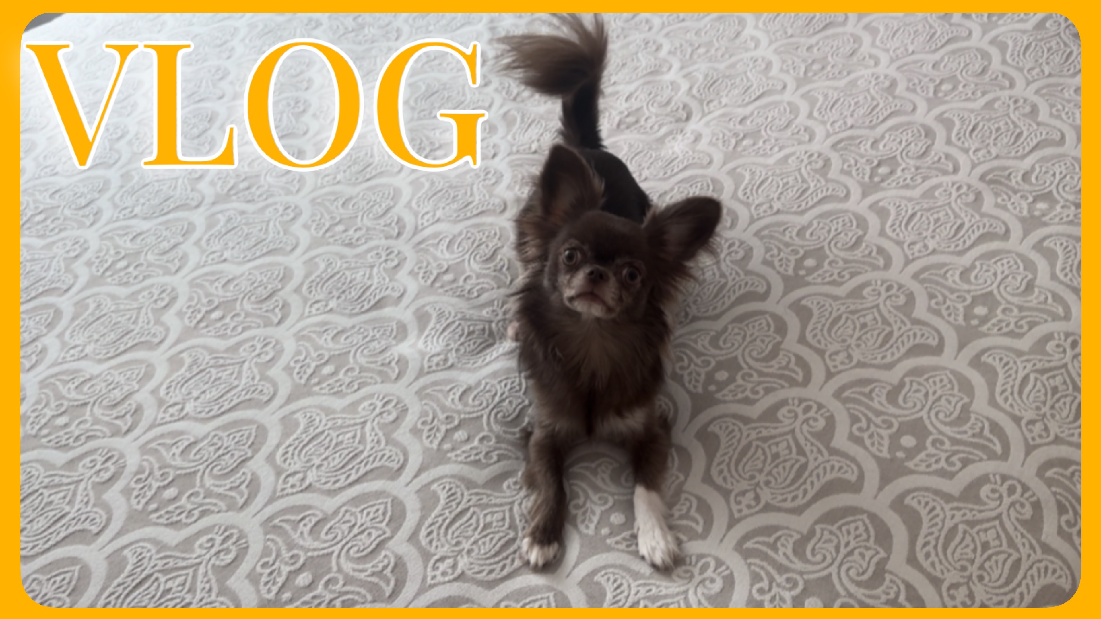 VLOG 05.07-06.07.2025 Два насыщенных дня из нашей жизни🥰 смотреть онлайн