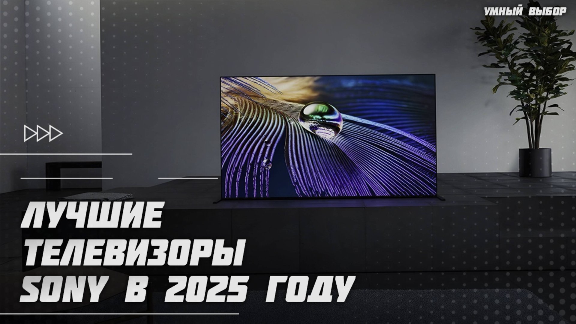 Лучшие телевизоры Sony в 2025 году | Какой телевизор Sony купить? смотреть онлайн
