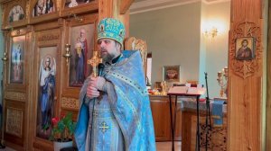 Мозг - это очки виртуальной реальности.