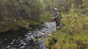 Релакс-рыбалка на форелевом ручье