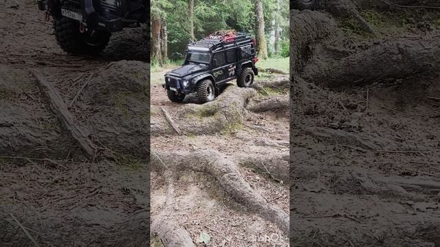 Зеленоград Трофи 12