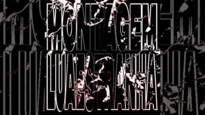 MONTAGEM LUA ESTRANHA - DJ RGLX, DJ LIRA DA ZL, DJ PLT 011