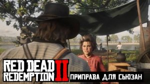 Red Dead Redemption 2 Просьбы спутников Приправа для Сьюзан