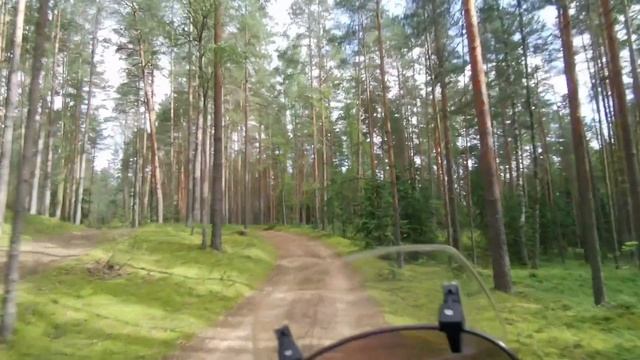Honda Transalp 650. Катаем по лесу