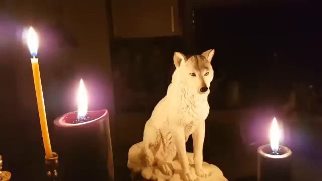 МОЛИТВА ВОЛКА - ИСЦЕЛЕНИЕ