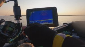 Panoptix. Как Я ловлю на паноптикс судака. много сходов