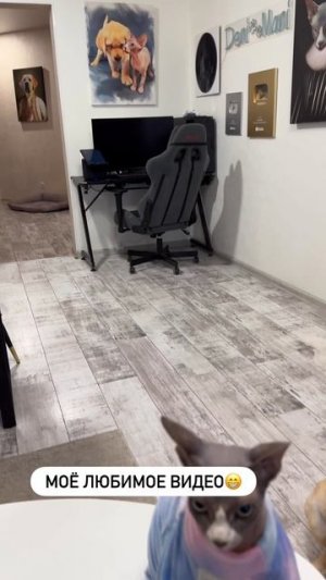 А у вас какое любимое?