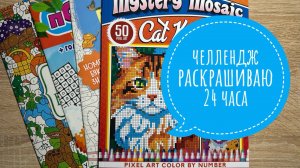 Челлендж Раскрашиваю 24 часа в раскрасках по номерам!