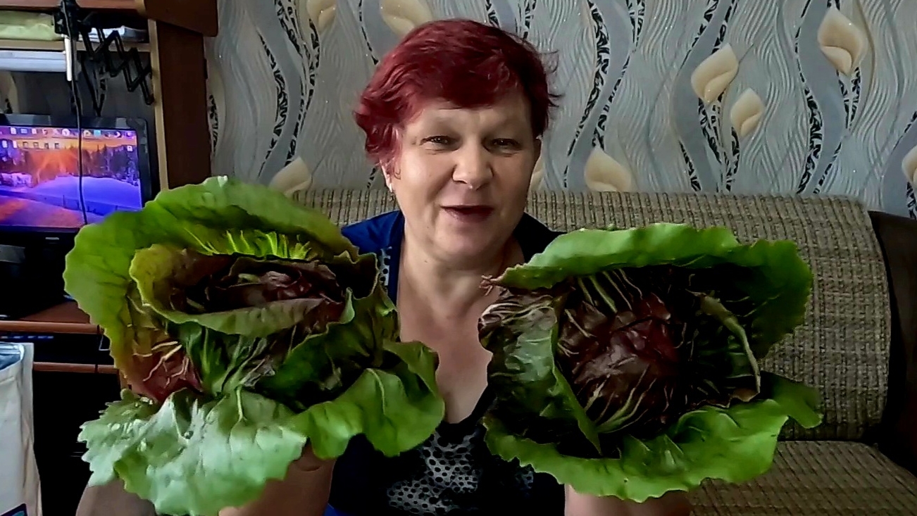 Посев Хрустящего Салата на осень!! смотреть онлайн