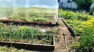 В ДОМЕ ДВА В ОГОРОДЕ НАВОДИМ ПОРЯДОК/МУЖ ЗАЛЕЗ И НАШЁЛ КЛАД...