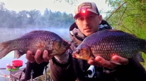 КРУПНЫЙ РЕЧНОЙ КАРАСЬ НА ПОПЛАВОК