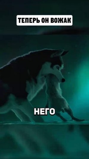 ХОРОШИЙ ФИЛЬМ НА ВЕЧЕР !