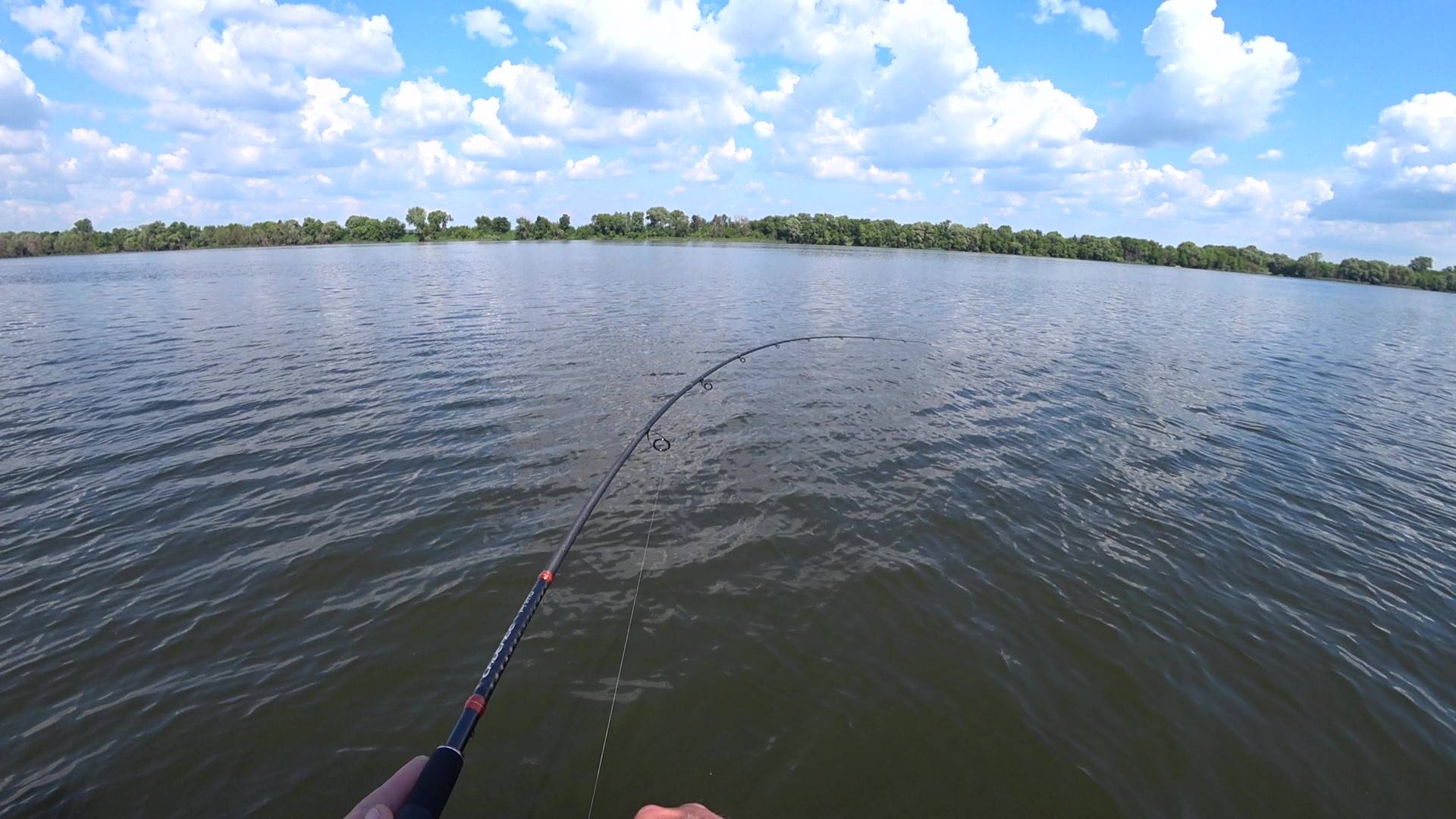 РЫБАЛКА НА ОКЕ ЛОВЛЯ СУДАКА БЕРША НА СПИННИНГ смотреть онлайн