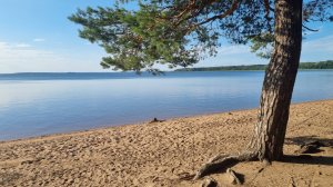 снт Синички