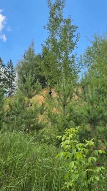 Покатушка 05.07.25 смотреть онлайн