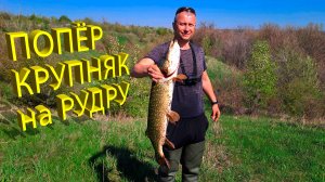 🔥 Все щуки ЖРУТ РУДРУ... Как попасть на ЖОР КРУПНОЙ ЩУКИ? Идеальный воблер на щуку O.S.P. RUDRA 🔥