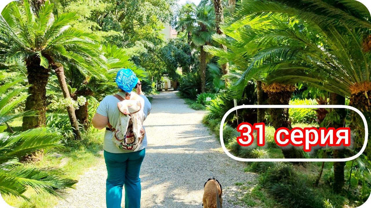 Новый Афон и Сухумский ботанический сад. Путешествие по Абхазии 2024, серия 31. смотреть онлайн