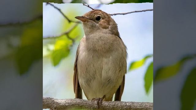 Это интересно-22