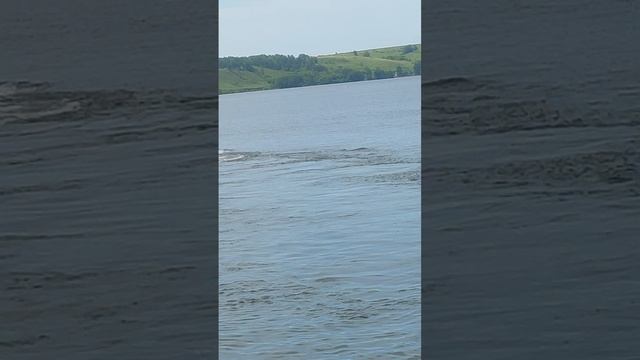 На гидроцикле с ветерком! 👍❤ смотреть онлайн