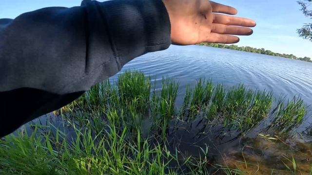 Рыбалка на поплавок в июне 2025. ЛЕЩ, ОКУНЬ, ПЛОТВА,  какой только рыбы нет в этом водохранилище