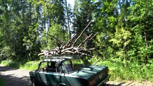 Семейный выезд в ТАЙГУ! Чуть не убили КОПЕЕЧКУ...