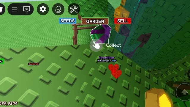 РАЗДАЧА ФРУКТОВ В  GROW A GARDEN❗❗❗( успей записаться места ограниченны‼️)