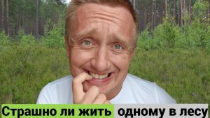 Живу в лесу на Ладожском озере один. Как я обустроил свой быт.