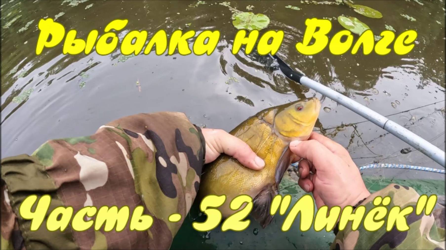 Рыбалка на Волге. Часть - 52. "Линёк". смотреть онлайн