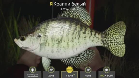 РУССКАЯ РЫБАЛКА 4 РР4 КРАППИ БЕЛЫЙ ТРОФЕЙ ЛОСИНОЕ