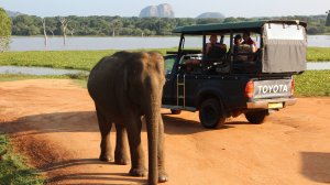 Шри-Ланка-2025