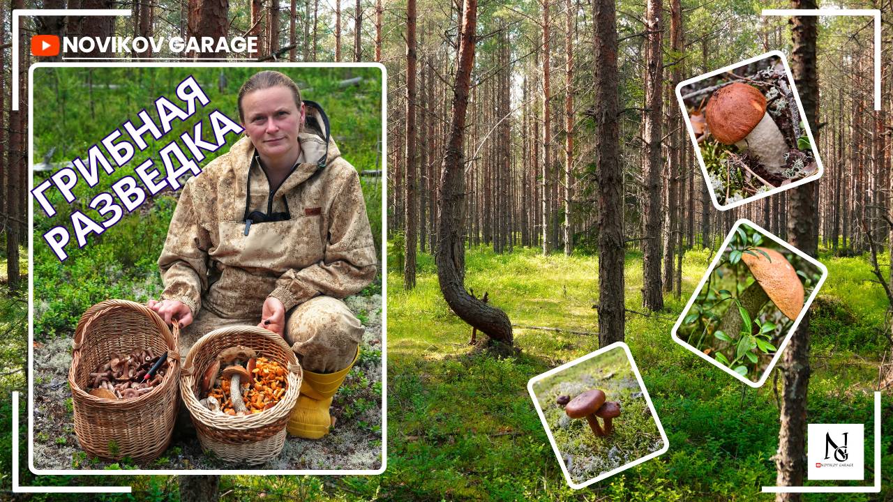 Грибная разведка 5 июля 2025. Приозерский район. смотреть онлайн