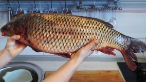 ЖАРЕНЫЙ САЗАН. ОБЪЕДЕНИЕ!