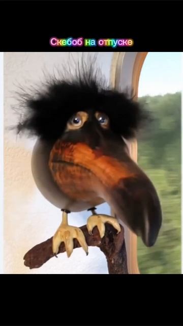 Скебоб на отпуске