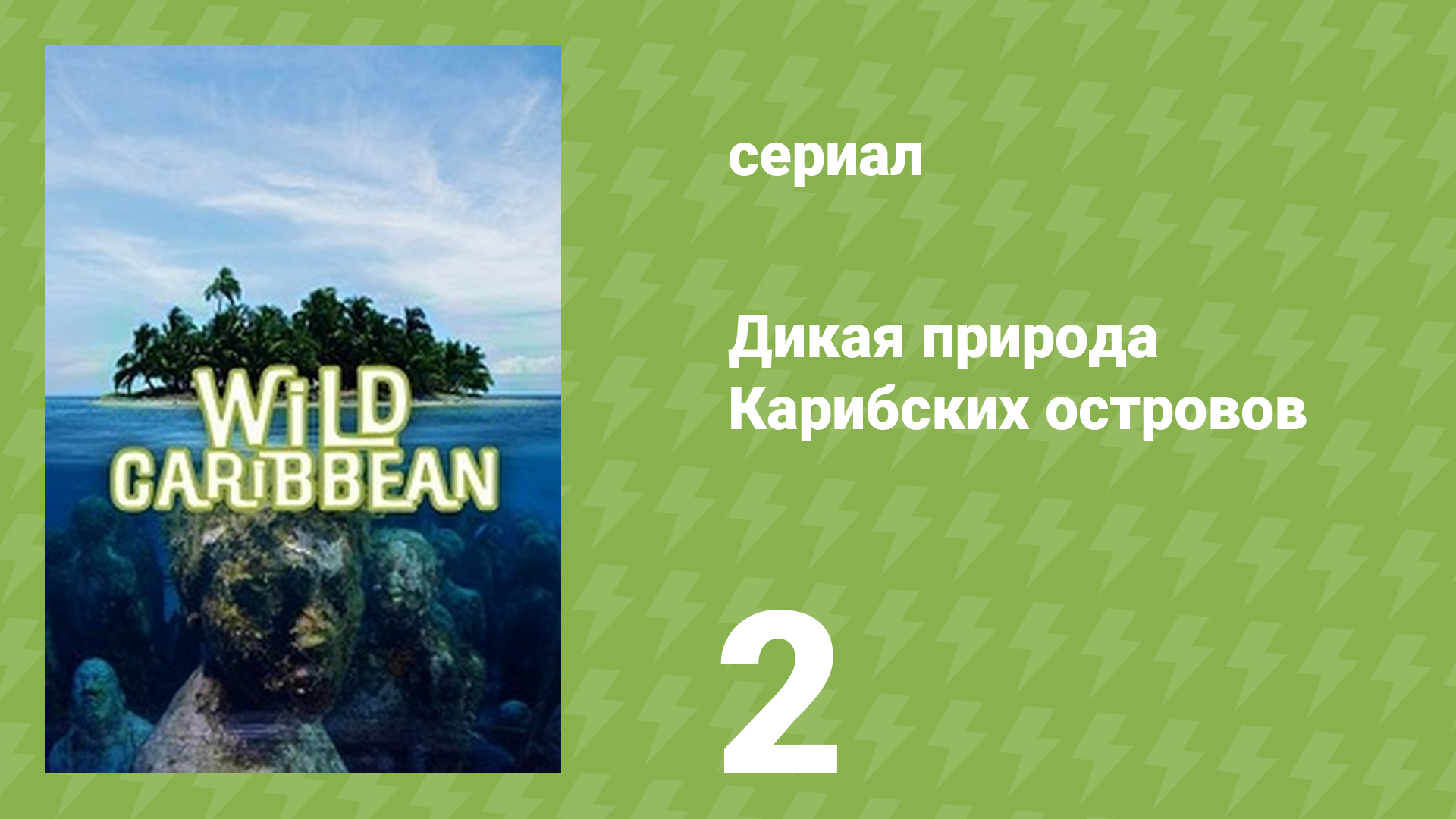 Дикая природа Карибских островов 2 серия «Киты и вулканы» (документальный сериал, 2018) смотреть онлайн