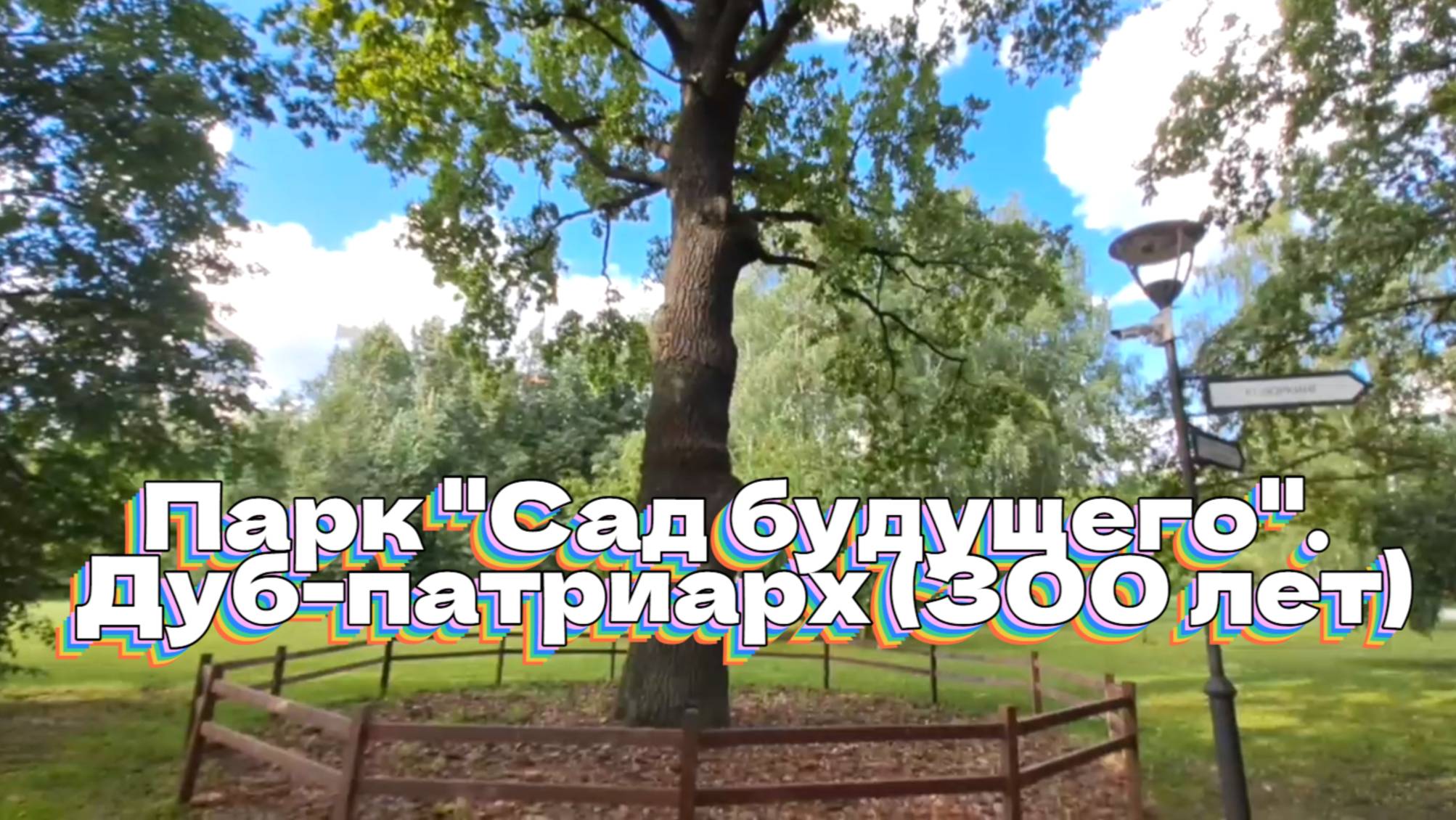 Сад будущего. Дуб-патриарх (часть 1) смотреть онлайн