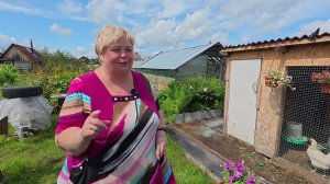 Готовим дачу к отъезду. Решили посадить усики у клубники.