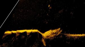 рыбалка с Актив таргет