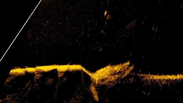 рыбалка с Актив таргет