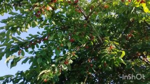 5.07.2025 начали ремонт