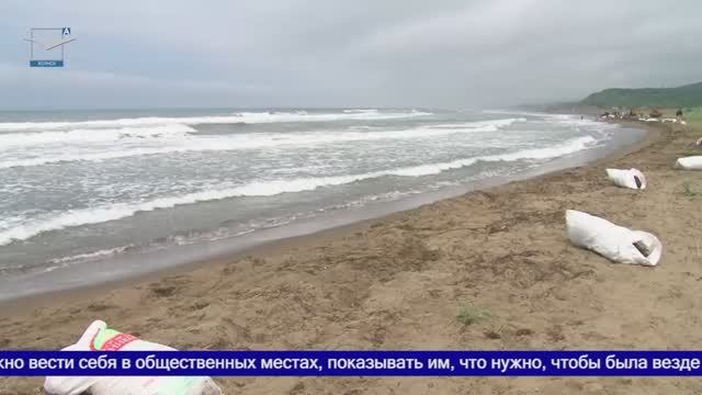 Акция «Чистый берег – 2025» смотреть онлайн