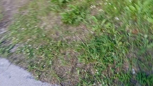 VID_20250706_165224.mp4