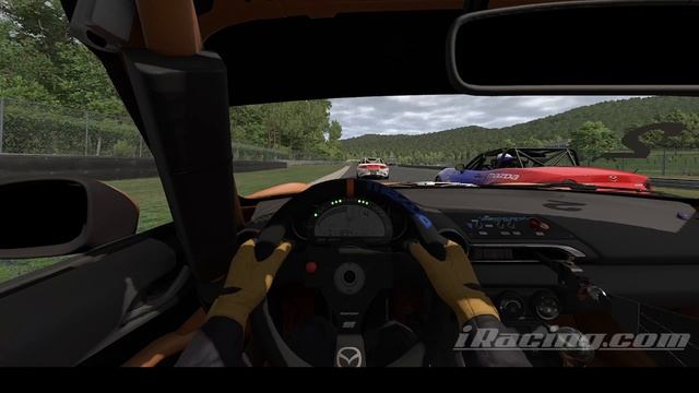 IRacing
