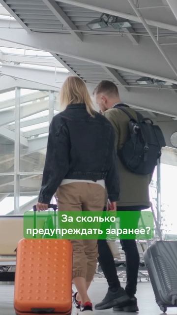 Аренда квартиры: что проверить перед тем, как снять смотреть онлайн