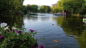 Воронцовский парк Москва. Большой пруд.Лодочная станция, катамараны, лодки, пицца на огне, площадки