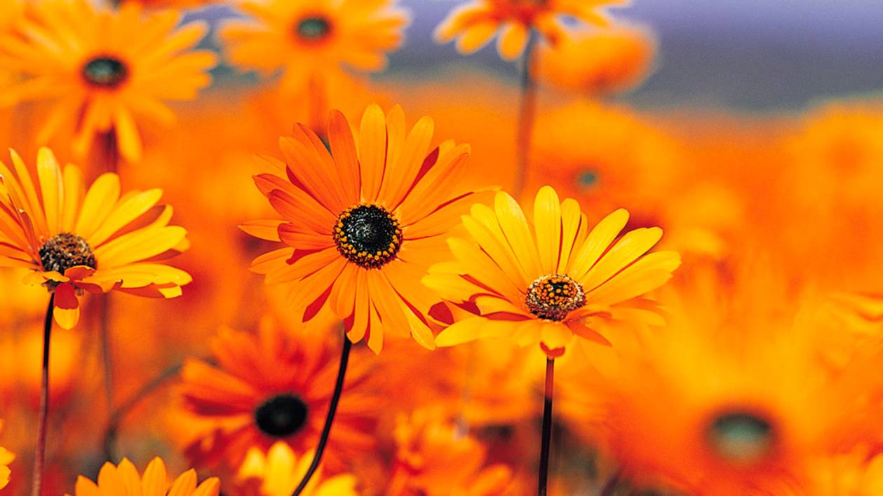 моё первое видео